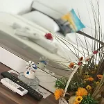 Halikarnas 3* 博德鲁姆