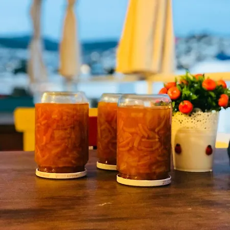 מלון Halikarnas בודרום