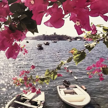 Halikarnas 3* בודרום